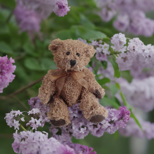 Lilac Wax Dipped Bear - Kate's Candles Co.
