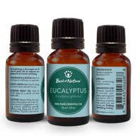 Eucalyptus Essential Oil - Kate's Candles Co.