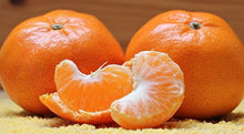 Tangerine Dreams - Kate's Candles Co. Soy Candles