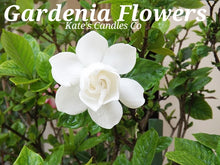 Gardenia Flowers Scented Candles & Wax Melts - Kate's Candles Co. Soy Candles