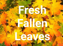 Fresh Fallen Leaves Scented Soy Candle & Soy Wax Melts - Kate's Candles Co. Soy Candles